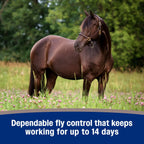 Farnam equine fly control product lifestyle display