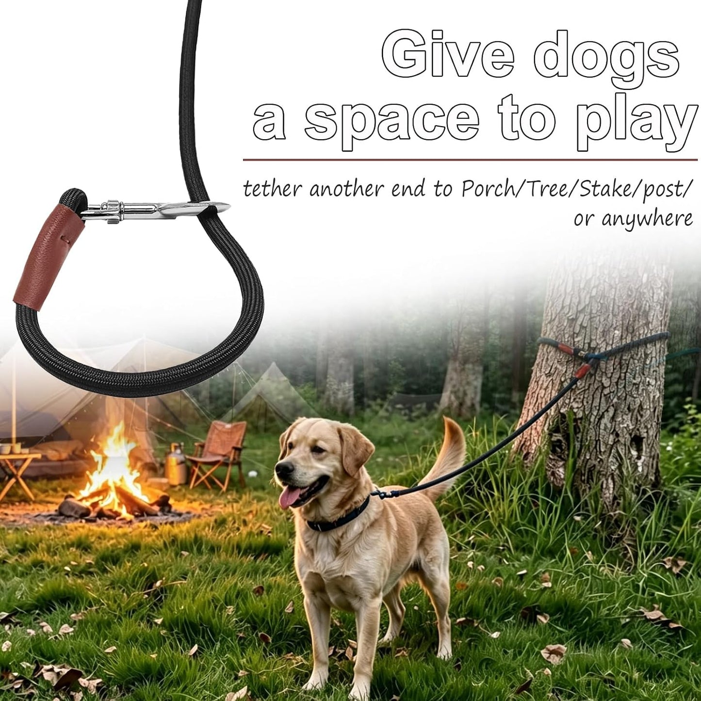 Black long check cord dog leash for medium and large dogs close up.
