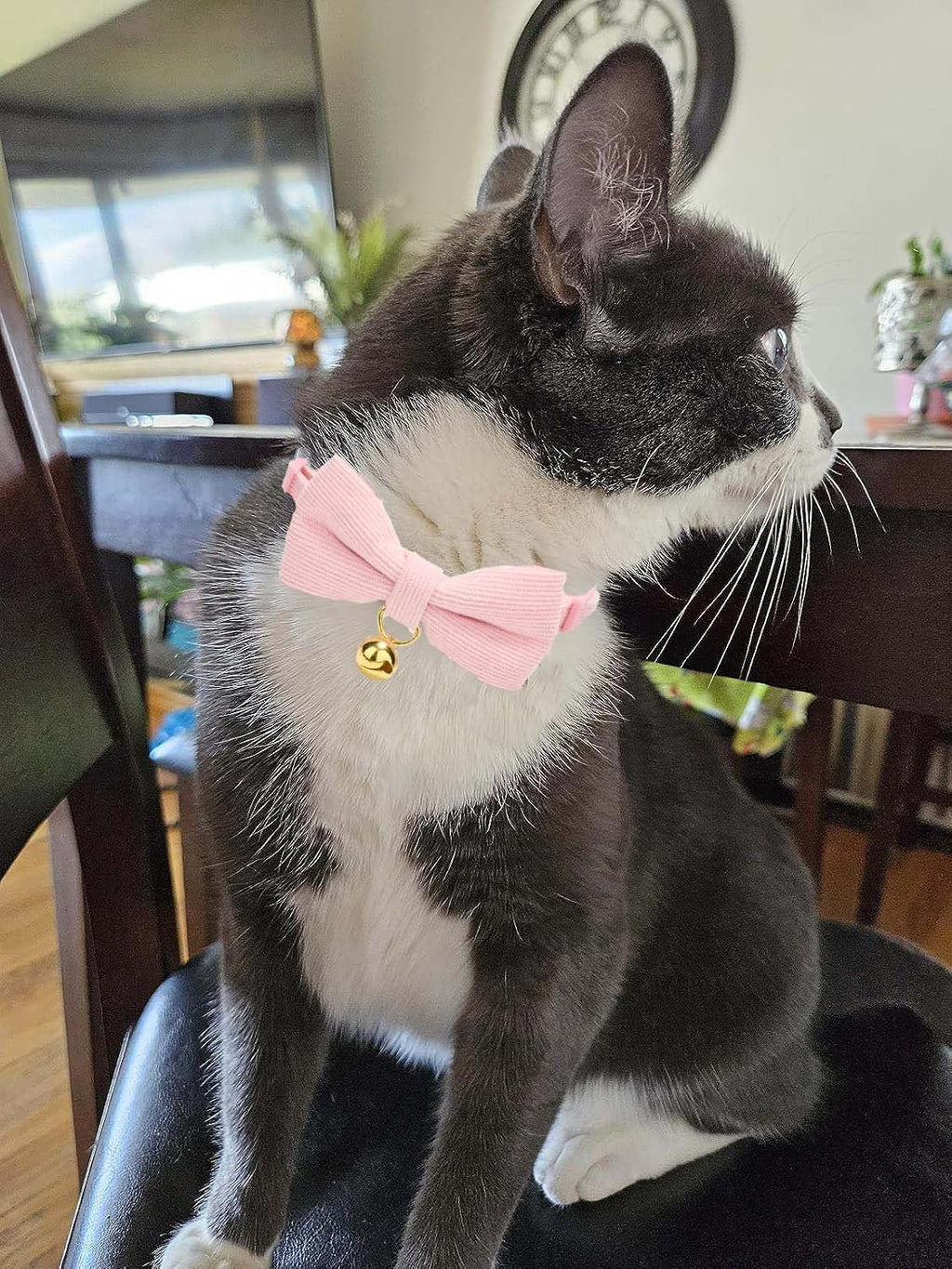 Breakaway Cat Collar with Bow Tie and Bell Adjustable Soft Corduroy Pink Kitten Collars for Girl Cats - Image 4