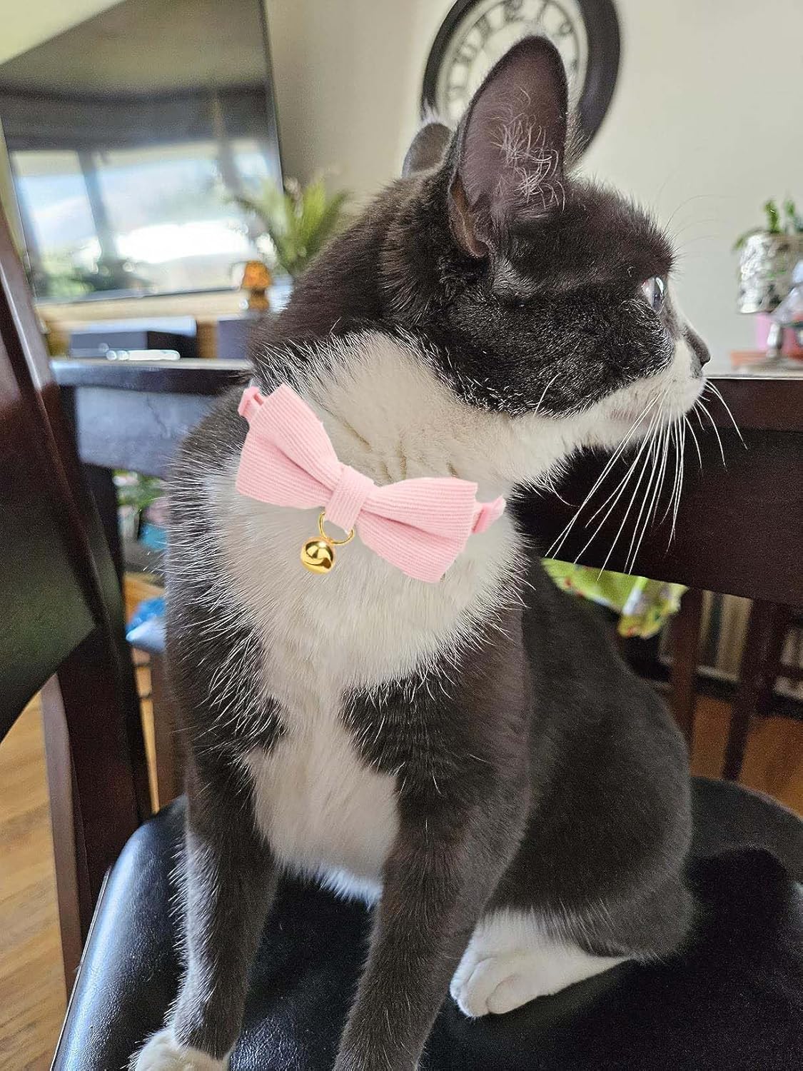 YUDOTE adjustable girl cat collar showing the 7.5 to 11 inch sizing mechanism