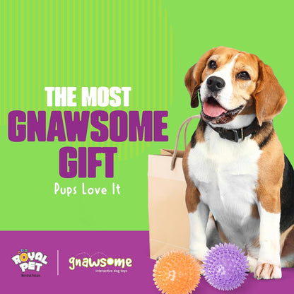 Non-toxic pet toy for dental health and exercise