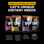 Go Solutions gastrointestinal wellness dry cat food packaging showing back panel