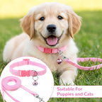 Three pack of adjustable kitten and puppy collars laid out flat to show the pink purple and blue colors.