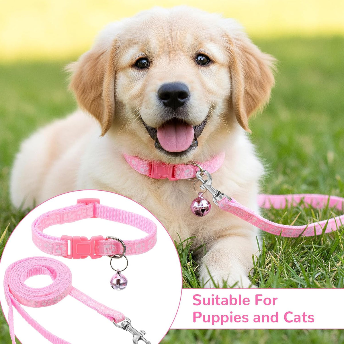 Three pack of adjustable kitten and puppy collars laid out flat to show the pink purple and blue colors.