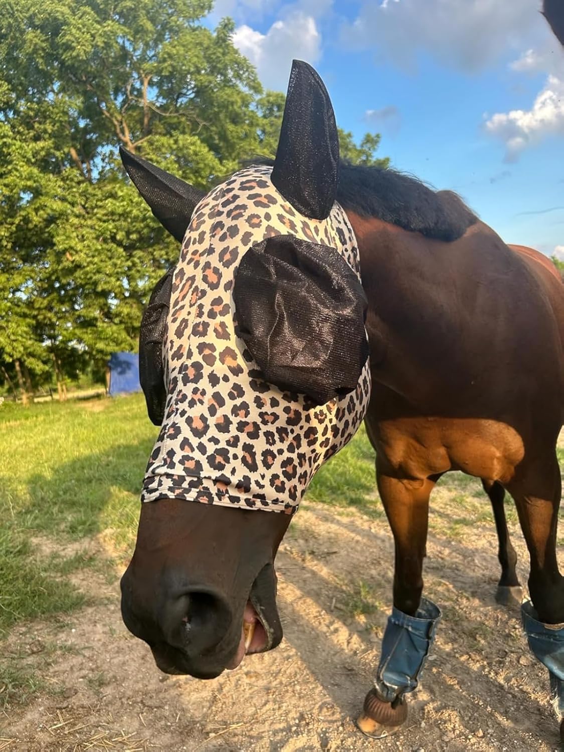 Side profile of equine fly mask showing adjustable comfort mesh straps
