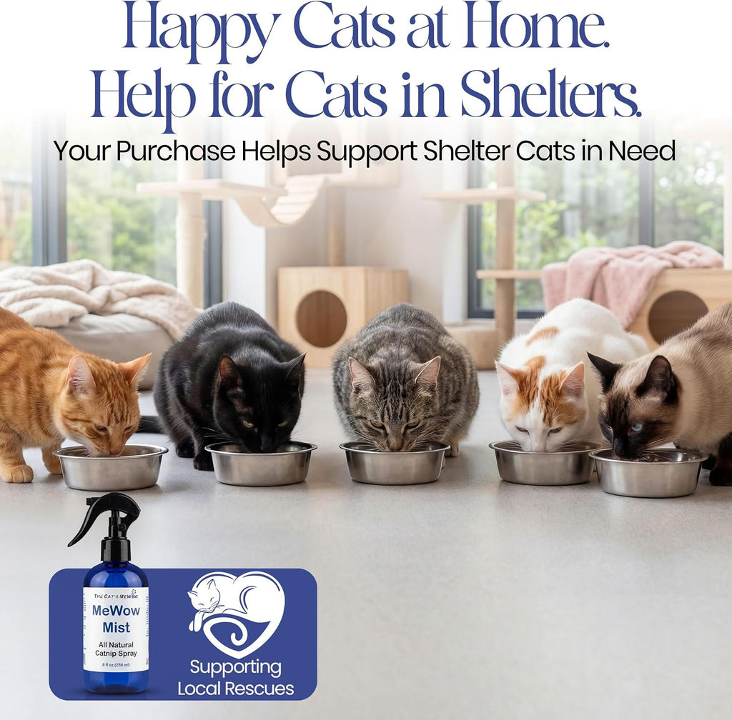 Mess free liquid catnip product for indoor cat behavioral training