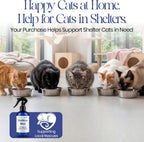 Mess free liquid catnip product for indoor cat behavioral training