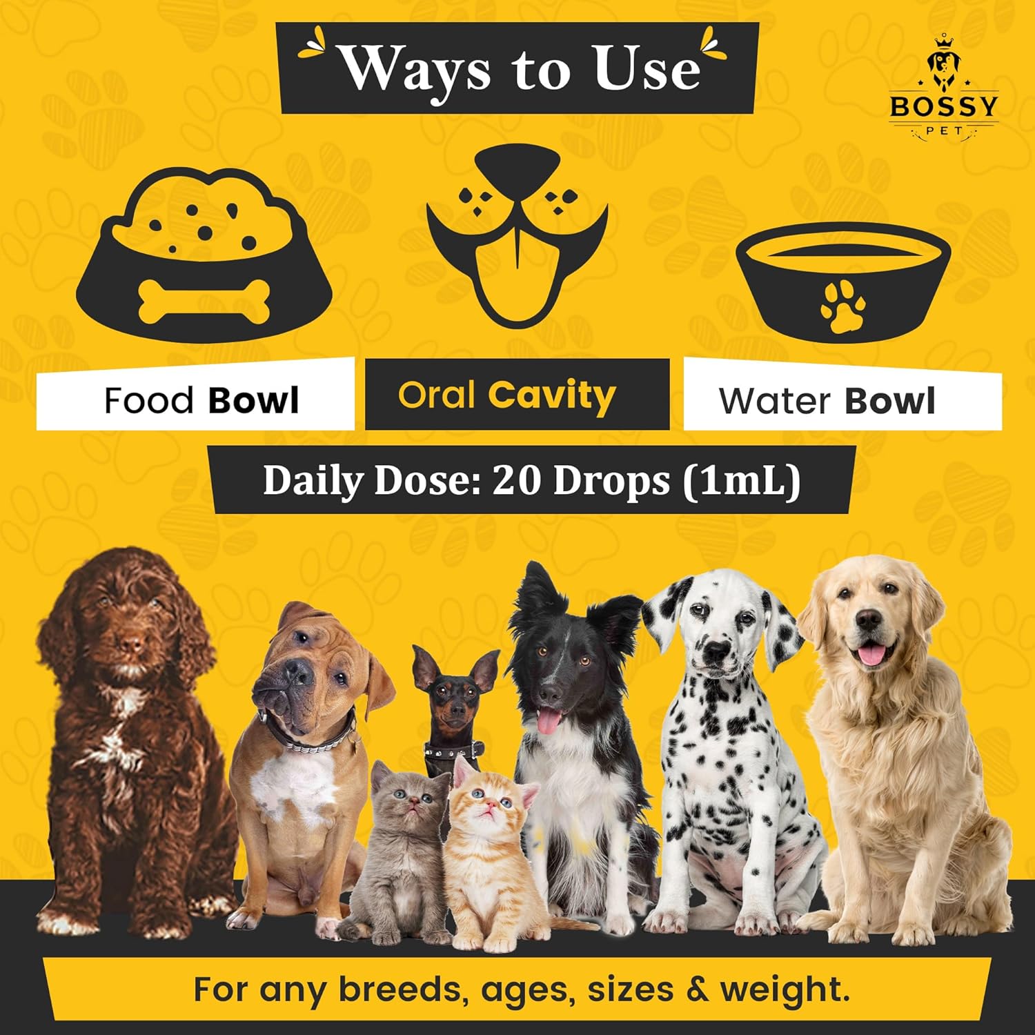 Liquid joint supplement for cats and dogs in a dropper bottle