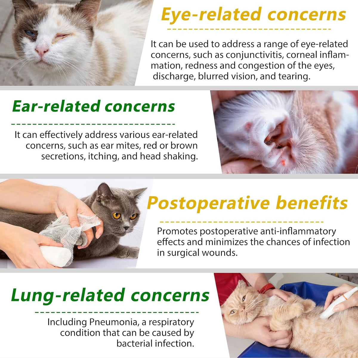 FuzzyUp feline immune and urinary tract support supplement packaging