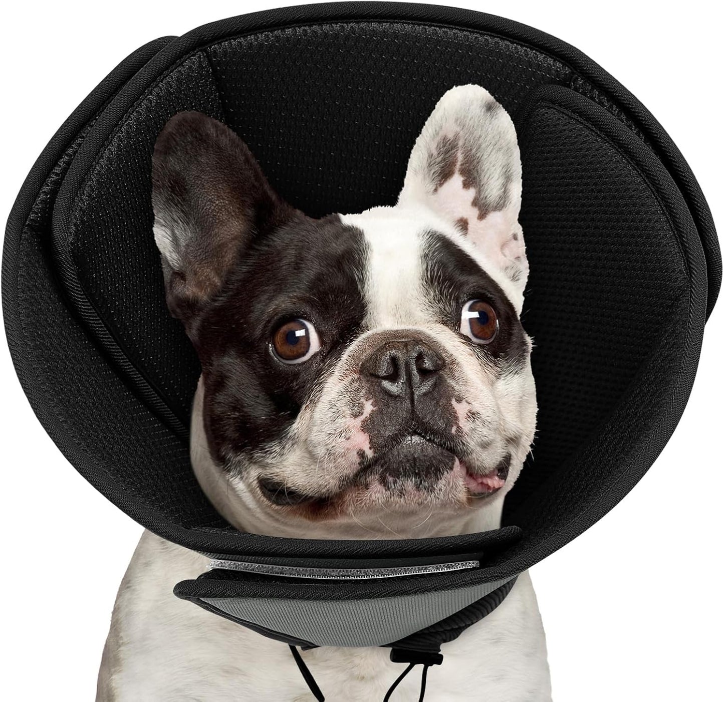 Queenmore Soft Dog Cones for Large Dogs,Comfy Dog Cone for Dogs to Stop Licking After Surgery,Adjustable Pet Cone Alternative for Wound Healing,Blue,X-Large - Image 12
