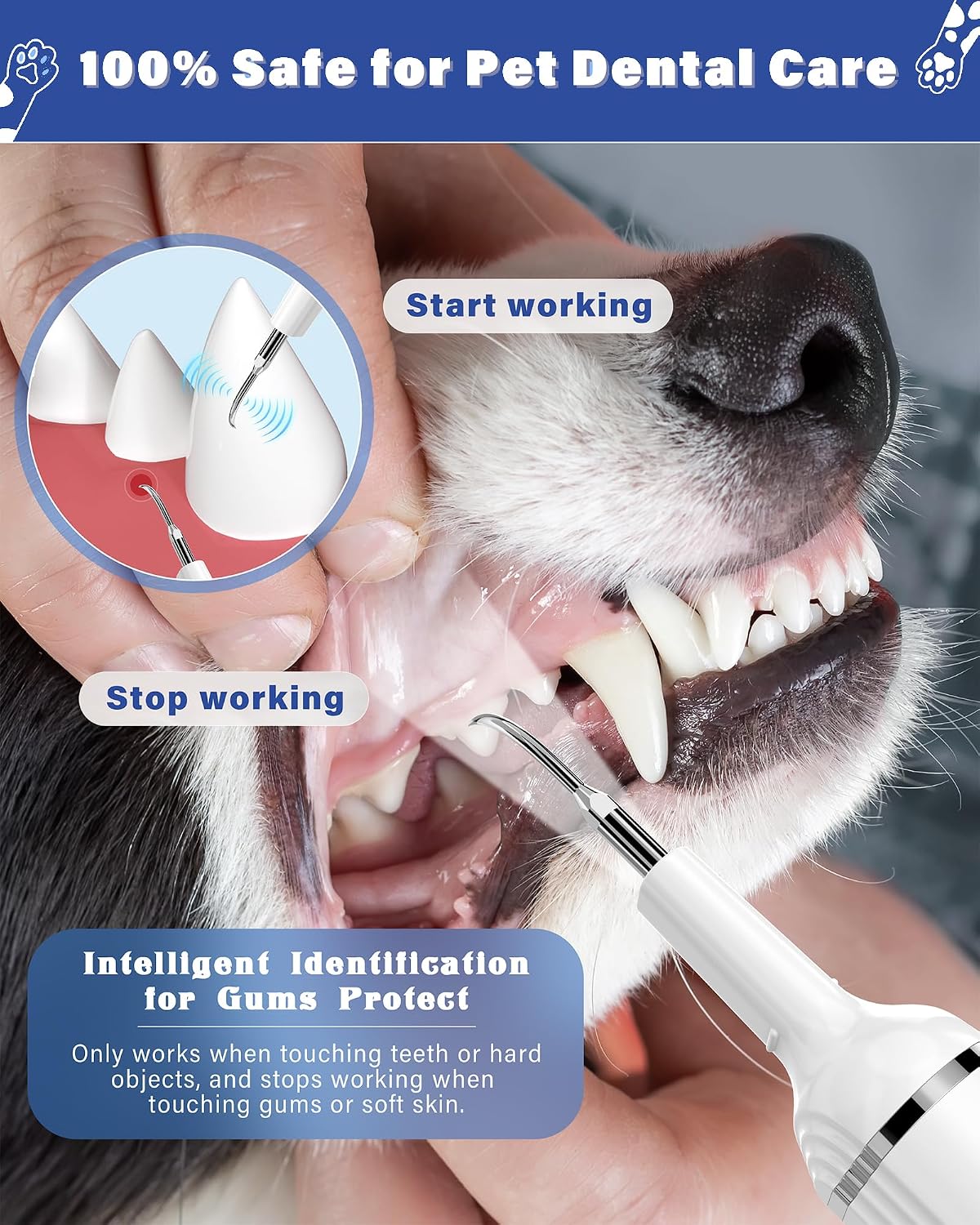 Nature Nerds electric dental kit with 4 replacement heads