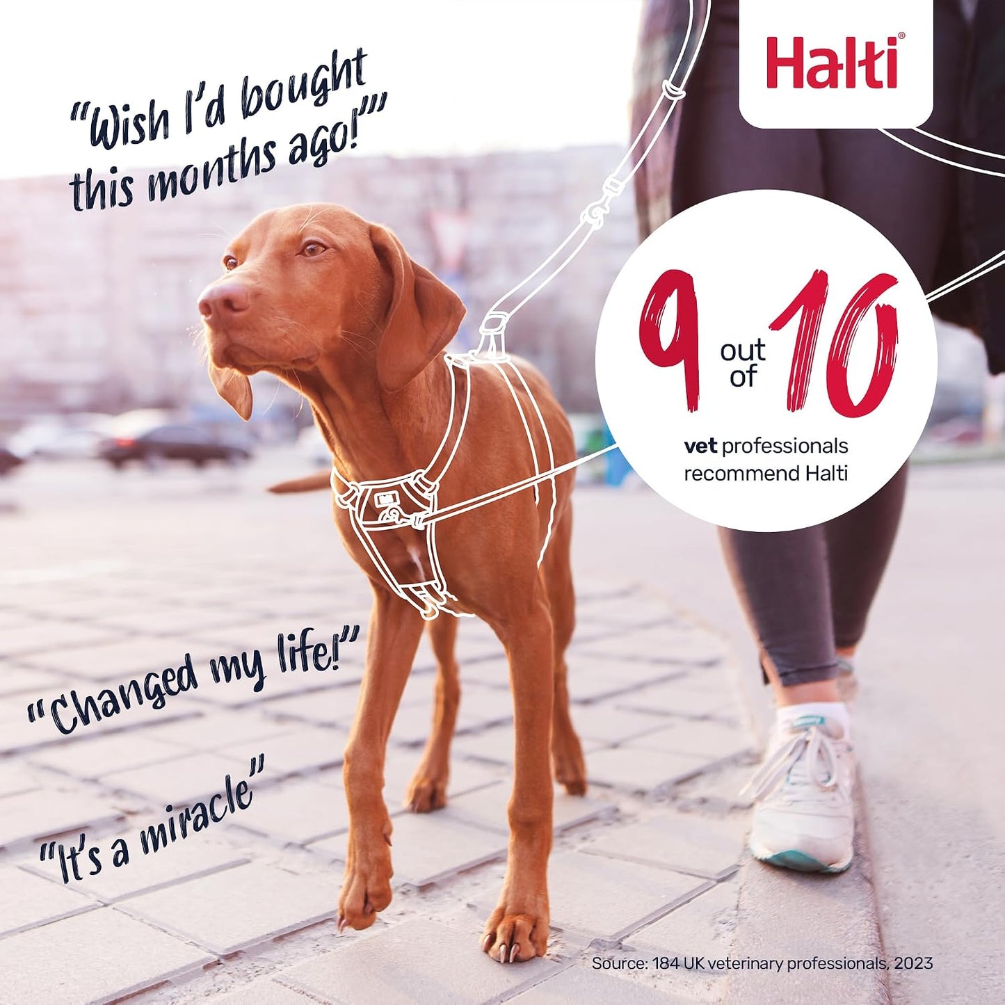 Halti No Pull Harness Size Medium & Halti Training Leash Size Large, Black Combination Pack - Stop Your Dog Pulling on the Leash. Adjustable, Lightweight and Easy to Use. Suitable for Medium Dogs - Image 9