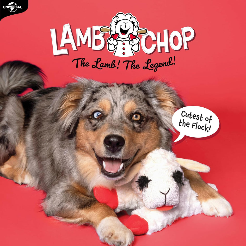 Multipet Lamb Chop squeaky toy for medium dogs