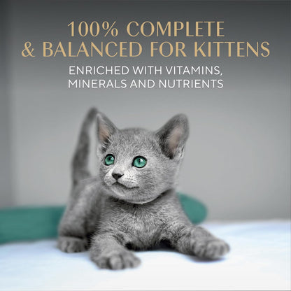 Sheba Kitten Wet Cat Food Chicken Entree Serving Tray