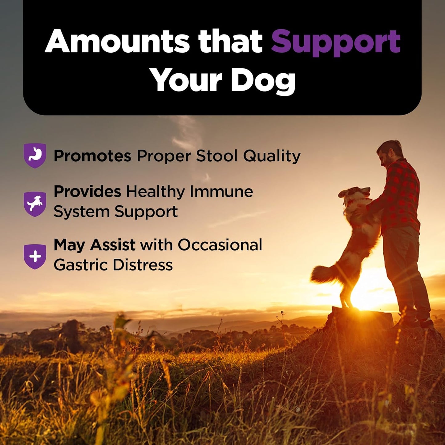 Nutri-Vet pet vitamins and supplements for dog upset stomach relief close up