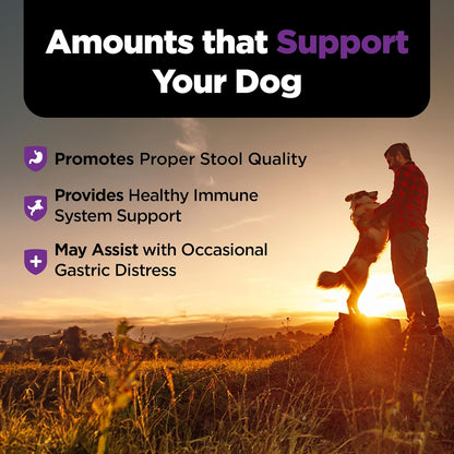 Nutri-Vet pet vitamins and supplements for dog upset stomach relief close up