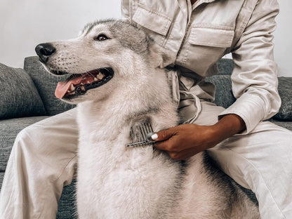 Tuff Pupper authentic imported pet grooming comb highlighting its precision control grip.