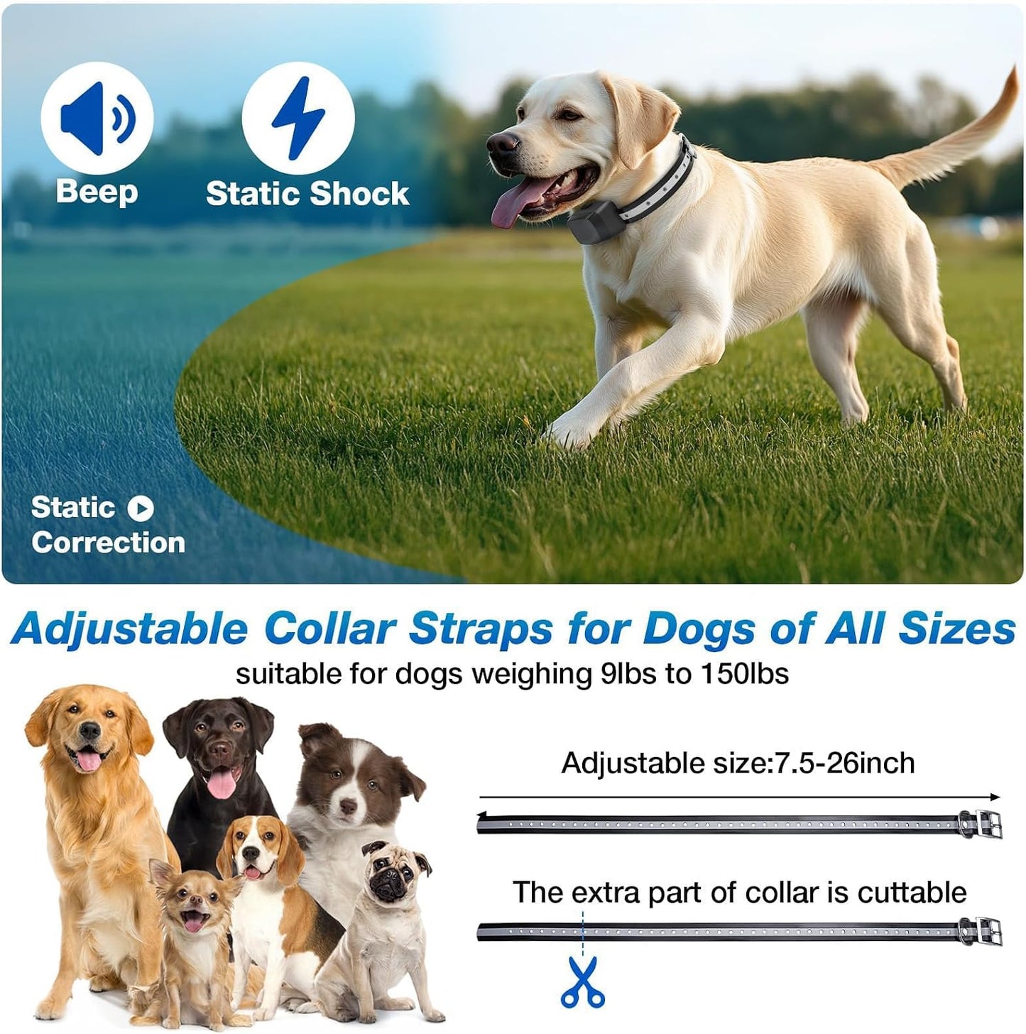 Complete kit overview of the 2026 underground containment system for two dogs.