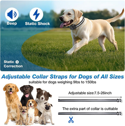 Complete kit overview of the 2026 underground containment system for two dogs.
