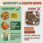 Close up view of dried mealworm texture and quality