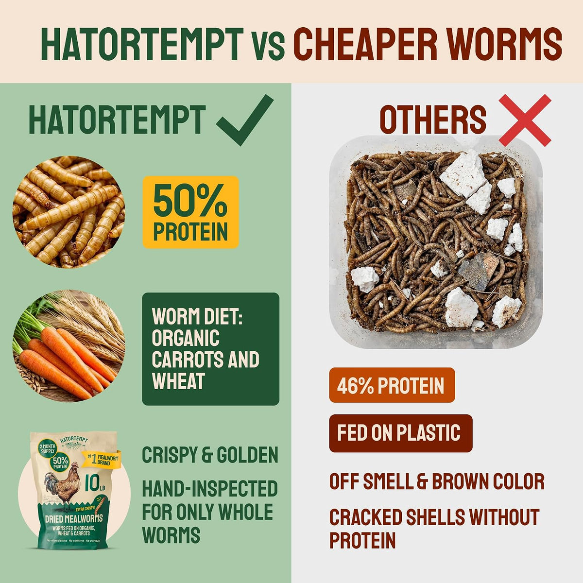 Close up view of dried mealworm texture and quality