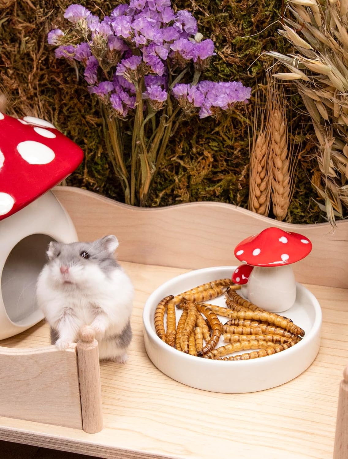 Natural insect treats for gerbils mice and hedgehogs package layout