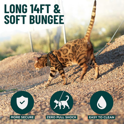 Small dog walking with 14ft OutdoorBengal Kushma leash