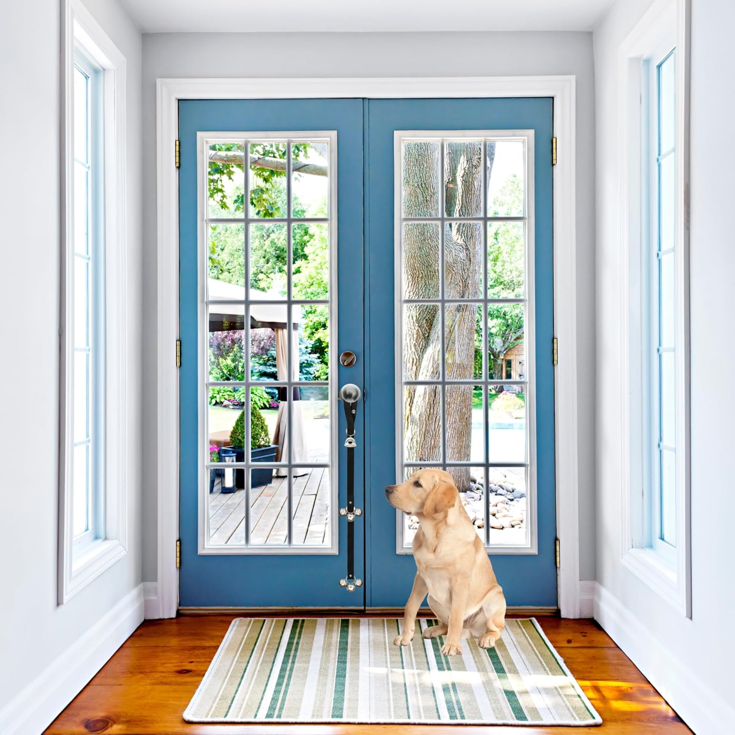 Front view of dog potty bells for housebreaking.