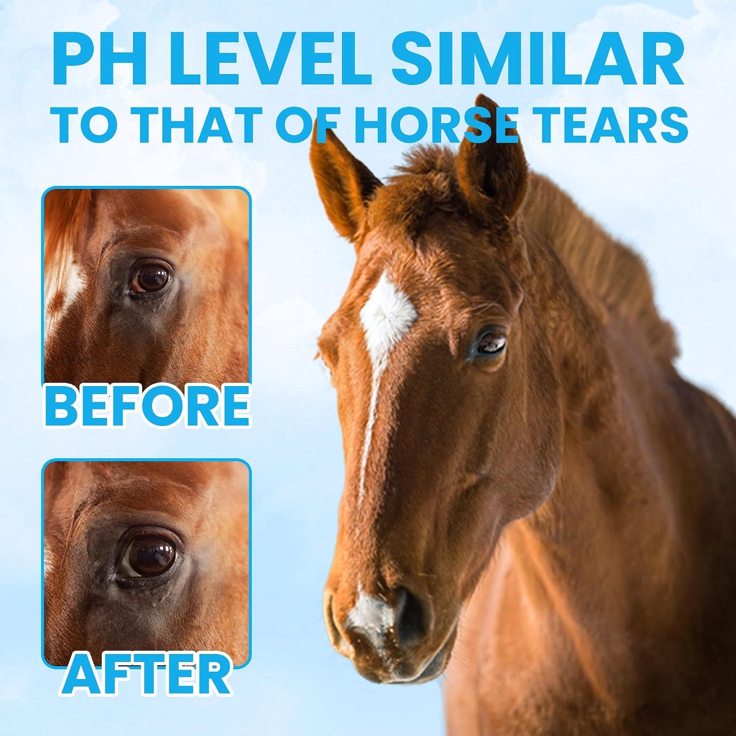 Vetanimus botanical eye cleanser for ponies and horses