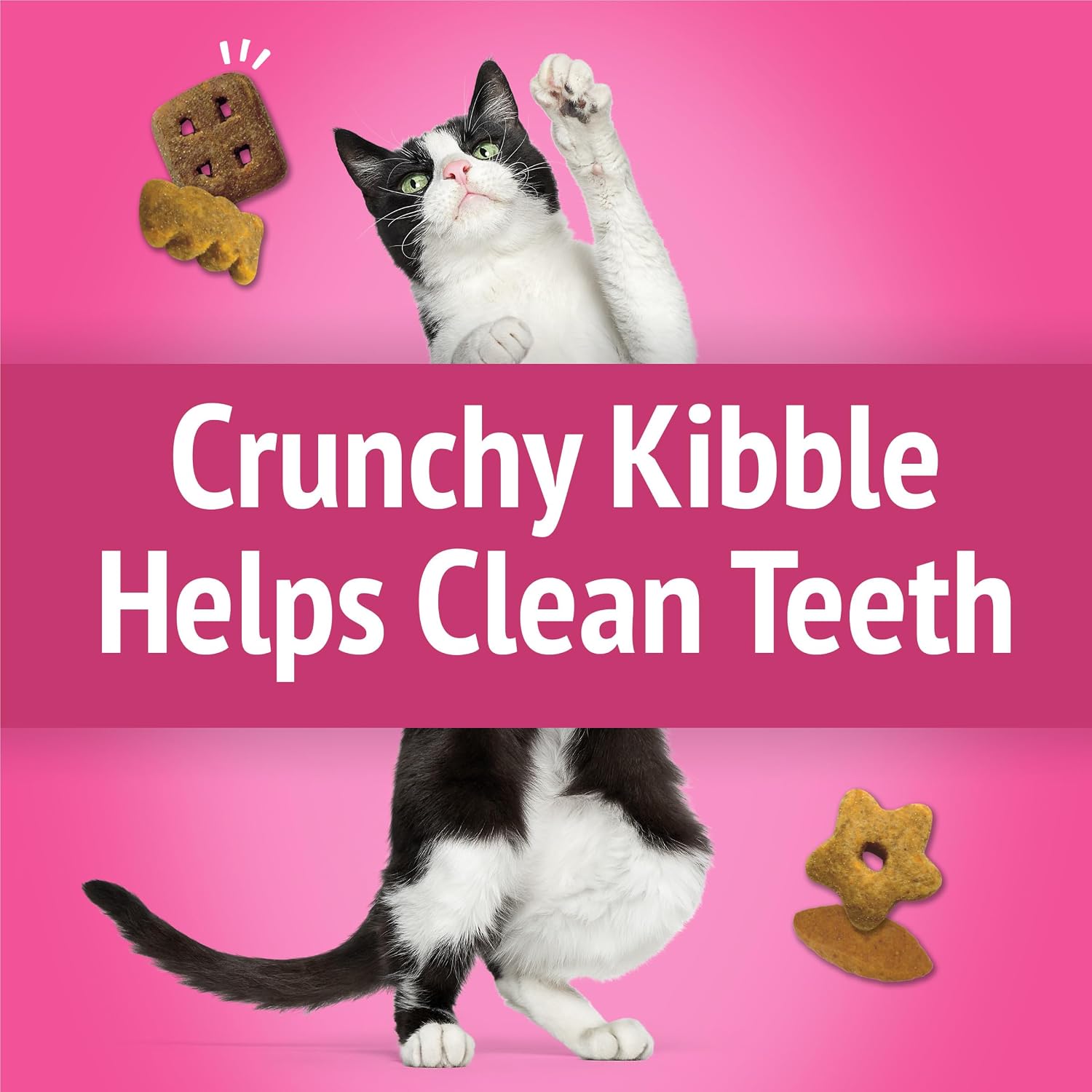Purina Friskies pet treats nutritional information and ingredient list on back panel