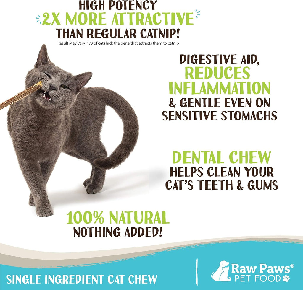 Raw Paws matatabi cat chew sticks packaging layout