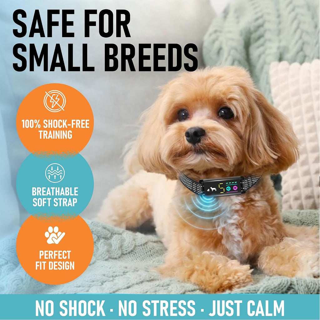 Stopwoofer small dog collar with magnetic charging port