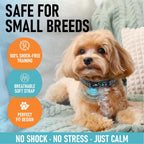 Stopwoofer small dog collar with magnetic charging port