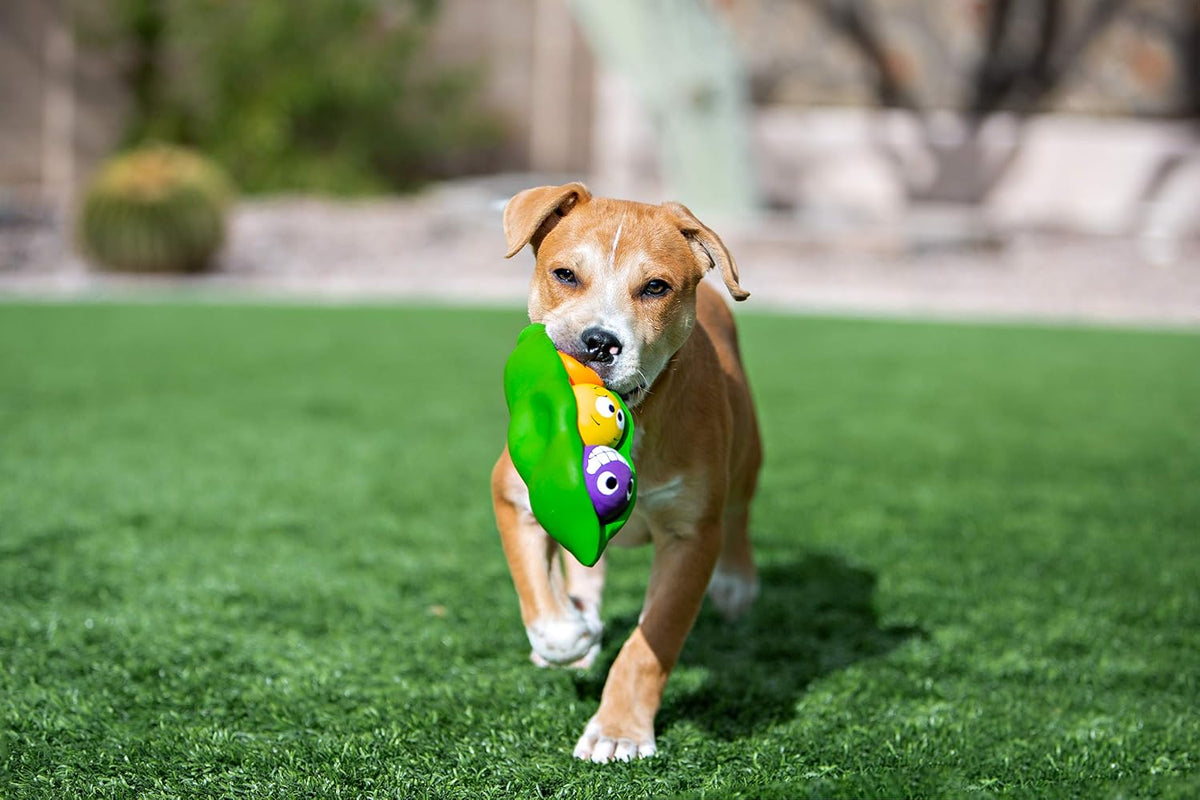 Multipet Three Peas in a Pod with individual squeaker balls removed from the shell