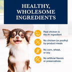 Blue Buffalo natural veterinary diet KS dry dog food six pound bag top seal view