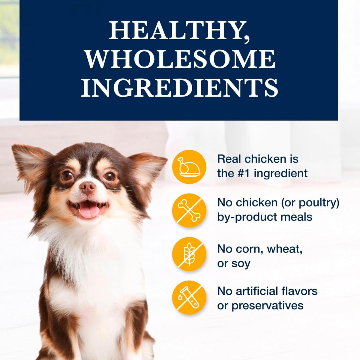 Blue Buffalo natural veterinary diet KS dry dog food six pound bag top seal view