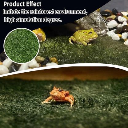 Leopard gecko walking safely across the washable nonwoven substrate liner.