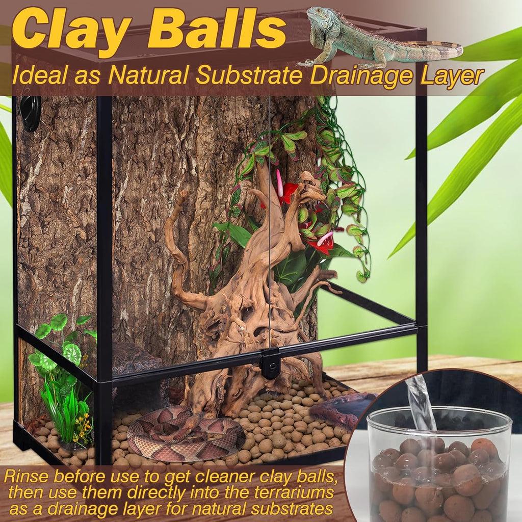 ZeeDix leca balls inside a bioactive terrarium setup