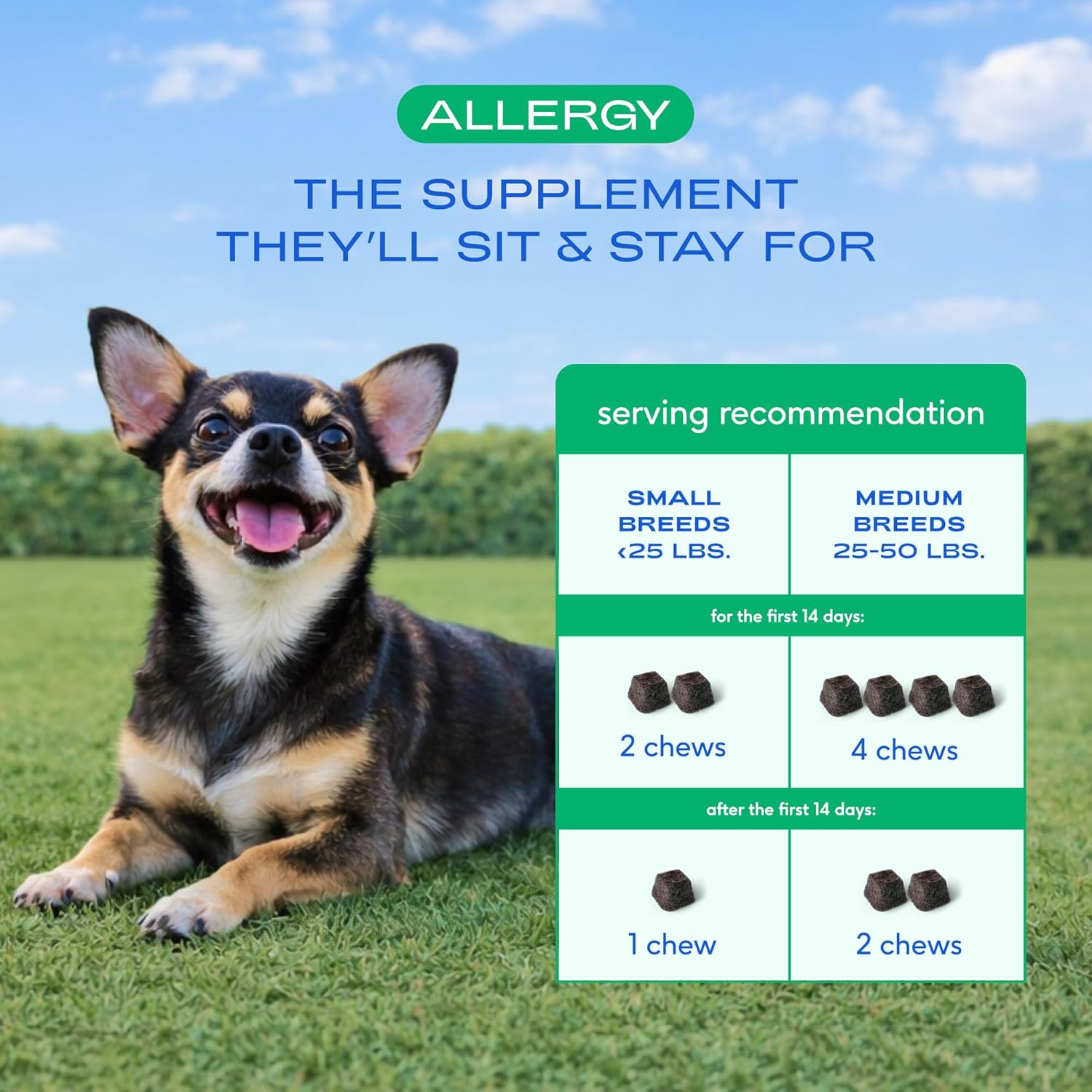Chicken flavored allergy relief chews for medium and small breed dogs close up.