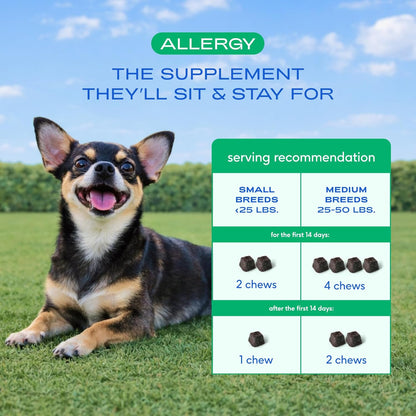 Chicken flavored allergy relief chews for medium and small breed dogs close up.