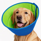 Autrous anti lick dog recovery cone alternative back view