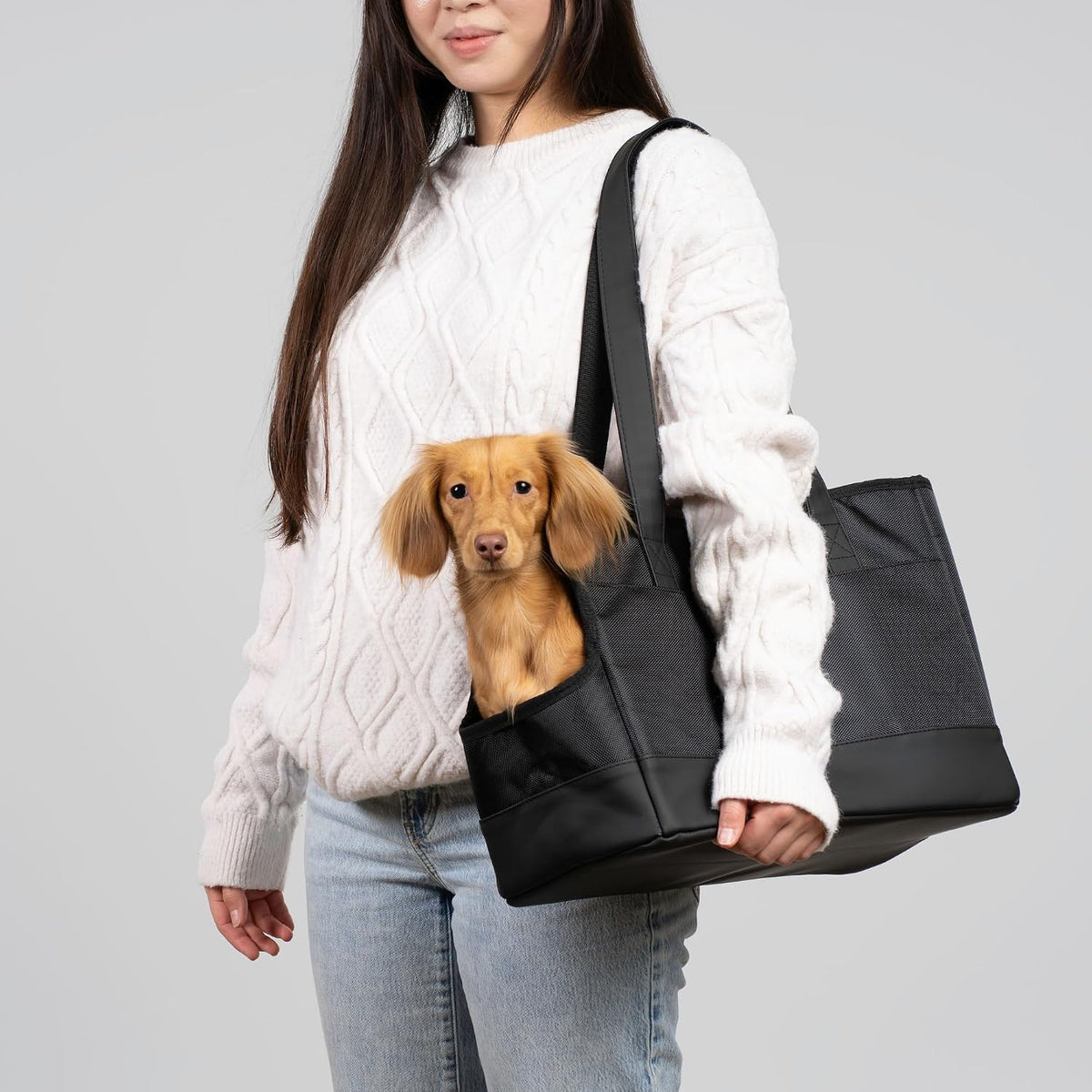 Oskar and Friends pet carrier tote bag front view
