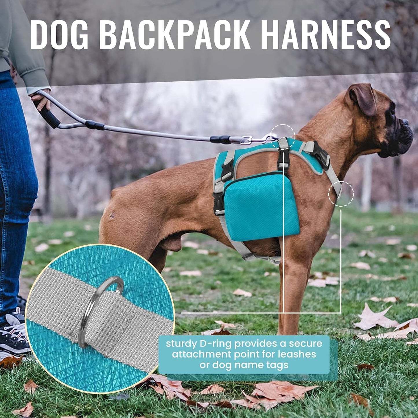 Dora Bridal outdoor pet pack highlighting the reinforced top control handle
