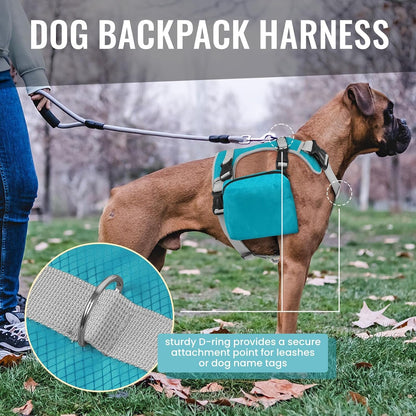 Dora Bridal outdoor pet pack highlighting the reinforced top control handle