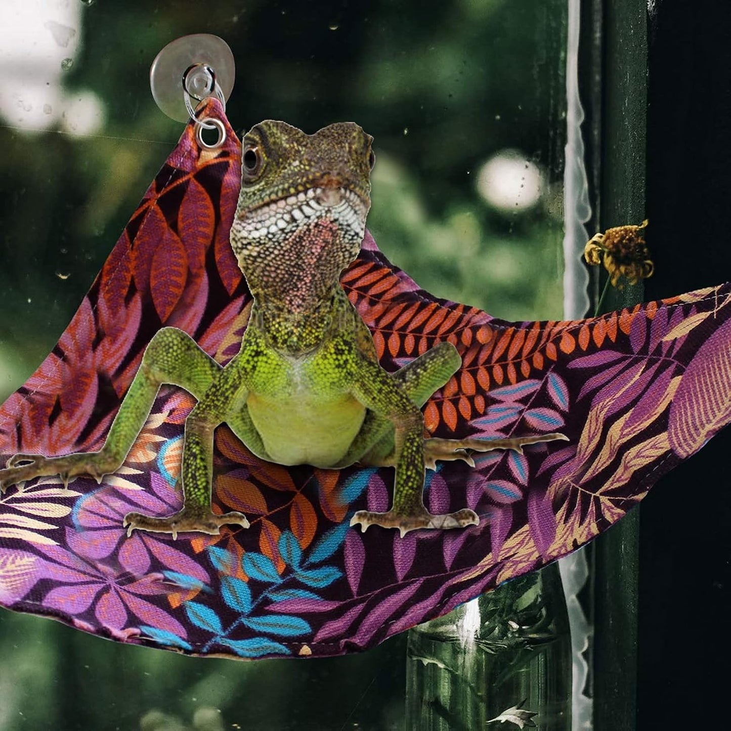 Transparent reptile habitat suction cups mounted on terrarium glass