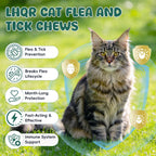 Lhqr cat wellness chews side profile with 500 count label