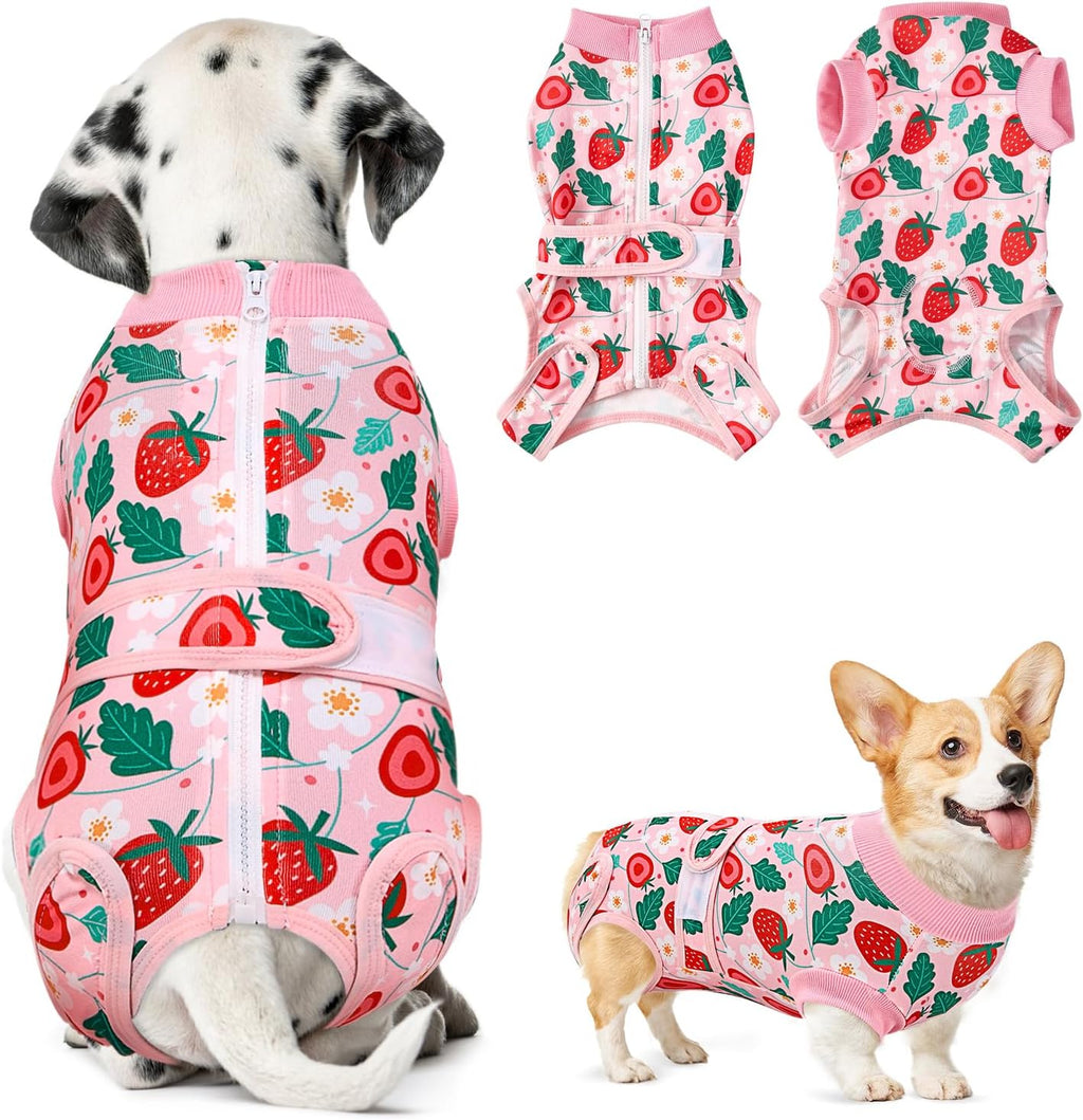 Nasjac anti licking medical dog vest packaging presentation.