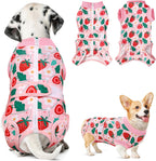Nasjac anti licking medical dog vest packaging presentation.