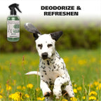 Wahl Eucalyptus and Spearmint dog deodorant bottle