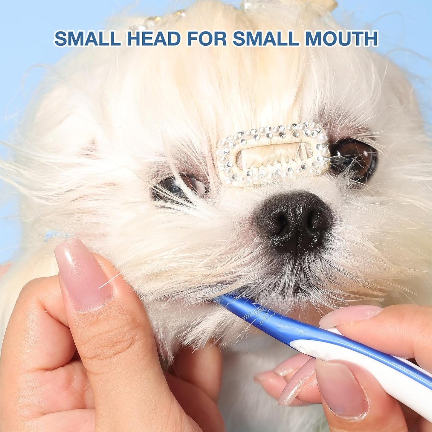 Misself 360-degree silicone pet toothbrush for gum massage